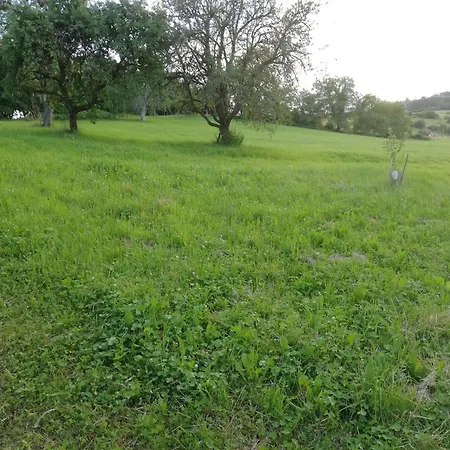 Apartmán Josefa Ganter 80qm